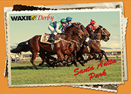 2014 Ontario WAXIE Derby Customer Appreciation Day & Trade Show Invite