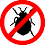 No Bed Bugs