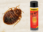 Bed Bug & Bug Off II 200px