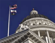 government