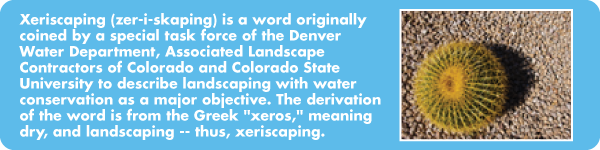Xeriscaping Definition 600px