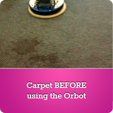 Carpet BEFORE using the Orbot