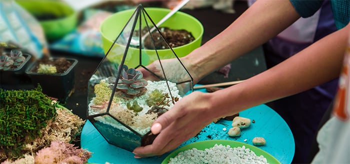 Earth-Day-DIY-Terrariums_661620163_700x329