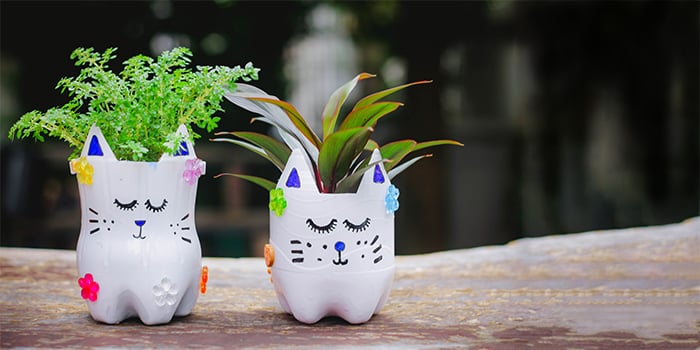 Reuse-Bottles-Into-Cat-Planters_691356229_700x350