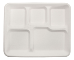 bagasse_tray.png