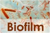 biofilm